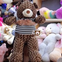 Gấu bông Teddy khổ 1m2