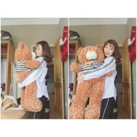 Gấu bông teddy khổ 2m ( nhiều màu)