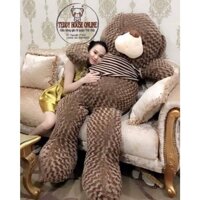 Gấu bông Teddy khổ vải 2m