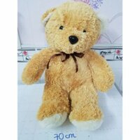 Gấu bông teddy lông siêu đẹp size bự