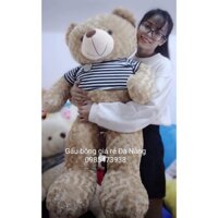 Gấu bông Teddy lông xoắn hoa hồng khổ vải 1m2 (cao 1m1) gấu bông teddy áo thun