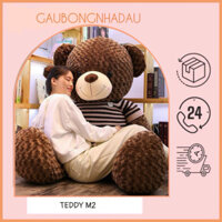GẤU BÔNG TEDDY lông xoắn ( Khổ vải 1m2- chiều dài 1m1) thú nhồi bông