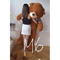 Gấu bông teddy mặc áo 1m6 màu đồng