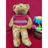 Gấu bông teddy mắt thủy tinh đồ cởi đựợc