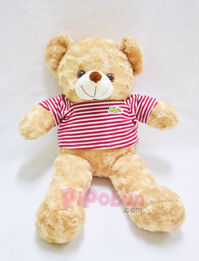 Gấu bông TEDDY màu Coffee Pipobun size 50cm - P02025002550383