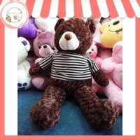 Gấu bông Teddy màu nâu cafe size to 80cm-2m - Đồ chơi quà tặng Hot Trend - Gấu Bông AMI