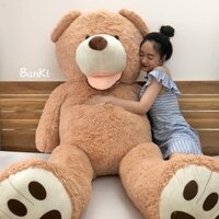 GẤU BÔNG TEDDY NÂU BỰ 2M CAO CẤP TO KHỔNG LỒ
