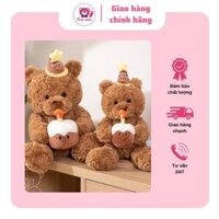 Gấu Bông Teddy ôm bánh sinh nhật thổi nến đội mũ sinh nhật, Thú nhồi bông, thú bông gấu Teddy tặng sinh nhật
