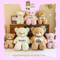 Gấu Bông TEDDY Ôm Trái Tim To Khổng Lồ Đáng Yêu Làm Quà Tặng Cao Cấp ĐĂNG KHOA