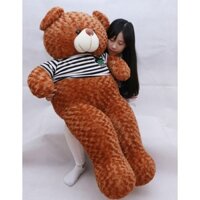 Gấu bông TEDDY siêu to khổng lồ cao cấp size 1m4, 1m6, 1m8, 2m