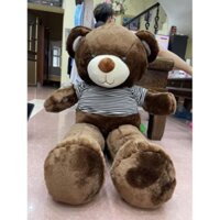 Gấu bông TEDDY siêu to khổng lồ, thú nhồi bông cho bé hình gấu kích thước 1m, 1m2 quà tặng sinh nhật