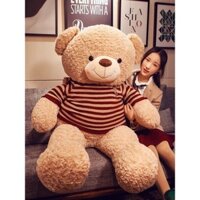 Gấu Bông Teddy Size 1m6-1m8-2m cao cấp siêu to khổng lồ nhiều màu, quà tặng ý nghĩa cho người thương yêu của bạn