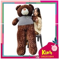 Gấu Bông Teddy size To, Thú Nhồi Bông Cute Khổng Lồ Giá Siêu Rẻ Chiều Cao Thật