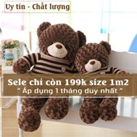 Gấu Bông Teddy Socola, Cam  [ Sale Sốc Toàn Shop ] Bông Sinic Mềm 100%, Ôm Chắc Chắn, Gác Chân, Gối , Tựa Cực Thoải Mái