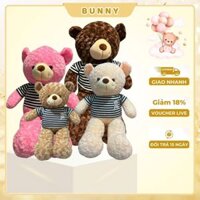 Gấu bông Teddy, Teddy khổng lồ, Teddy mặc áo BUNNY