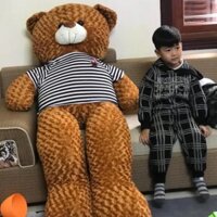 Gấu bông teddy , thú nhồi bông teddy bear