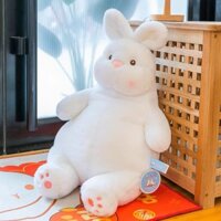 Gấu Bông Thỏ Bụng Bia Nhập Khẩu Cao Cấp, Thú Bông Thỏ Bụng Bia Cao Cấp