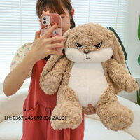 Gấu Bông Thỏ Mặt Quạo Hot Trend Cao Cấp, Thỏ Bông Hung Hăng Đáng Yêu