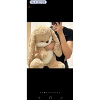 Gấu bông thỏ quạo, gấu bông giá rẻ