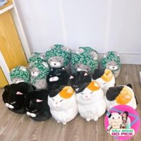 Gấu Bông, Thú Nhồi Bông Mèo AMUSE Hàng Cao Cấp Mềm Mịn Xuất Xứ Hàn Quốc