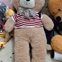 Gấu bông to 1m2