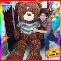Gấu Bông To Teddy Khổ 1m8 Cao 1m6 Đẹp Cute Mềm Mịn