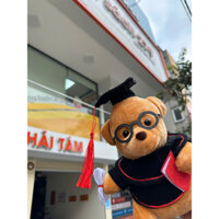 Gấu Bông Tốt Nghiệp, Gấu Bông Cử Nhân Tặng Bạn Bè Ngày Ra Trường