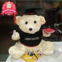 Gấu Bông Tốt Nghiệp Giá Sỉ Xoắn 35cm - quà tặng tốt nghiệp