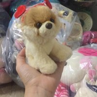 Gấu bông vịt đông