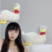 Gấu bông vịt quạo hay cáu như nguời yêu bạn vậy nhưng đáng yêu JUNNEW