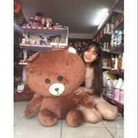Gấu brown 1m