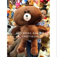 Gấu brown 1m