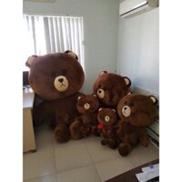 Gấu brown 1m4 hàng VNCC