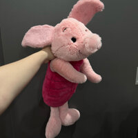 Gấu heo piglet