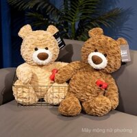 Gấu hoạt hình dễ thương Daniel đồ chơi sang trọng gấu bông búp bê búp bê tình yêu Cặp đôi gấu Quà Tặng Sofa Gối Đệm chữa bệnh búp bê xoa dịu quà tặng ngày lễ LX