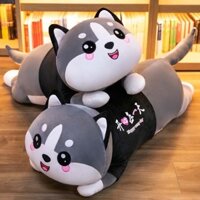 gấu mèo bông alaska siêu mềm mịn(kèm ảnh thật)