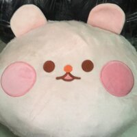 Gấu mèo của Ngô yến Nhi