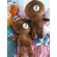 GẤU NÂU XINH NHẤT NHÀ