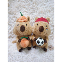 gấu nhồi bông Hallabong Quokka Korean toys con chuột cười Hàn Quốc xinh xắn