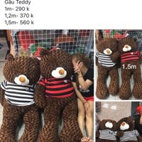 Gấu teddy 1 m, 1,2m, 1,5 m