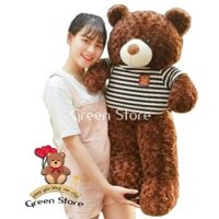 Gấu teddy 1m