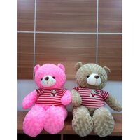 Gấu Teddy 1m