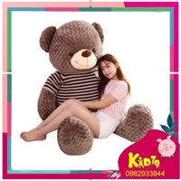 Gấu Teddy 1m1 1m3 lông mềm mượt Siêu Đáng Yêu Ôm Siêu Phê - Giá Tại Xưởng