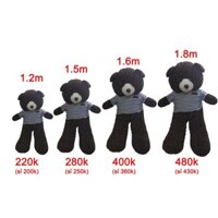 Gấu teddy - 1m4 - 1m2 - 1m