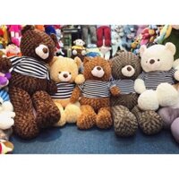 Gấu Teddy 1m5