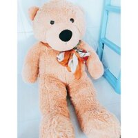 Gấu teddy 1m6