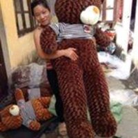 Gấu  teddy 1m6