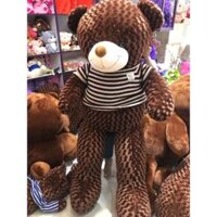 GẤU TEDDY 1M8