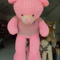 Gấu  teddy  1m8