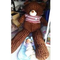 Gấu teddy 2m